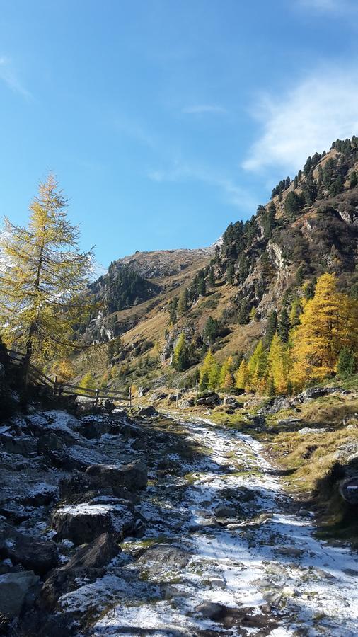 Adlerhof Apartment Sankt Leonhard im Pitztal Bagian luar foto